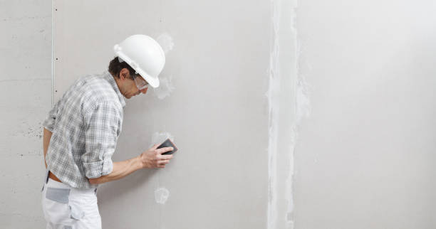 Best Repainting for Renovations  in Macclenny, FL